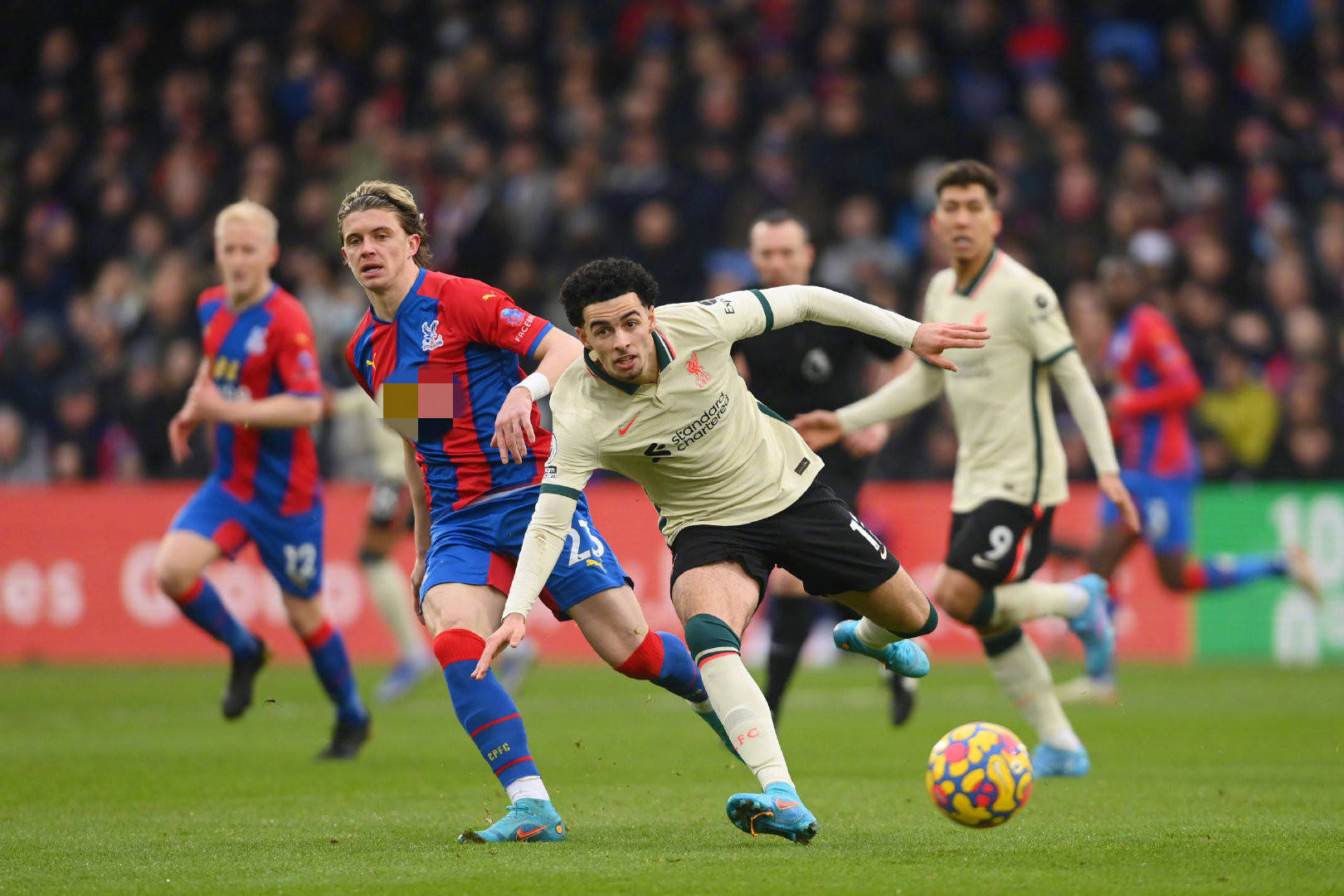 数据与洞察 数据与洞察